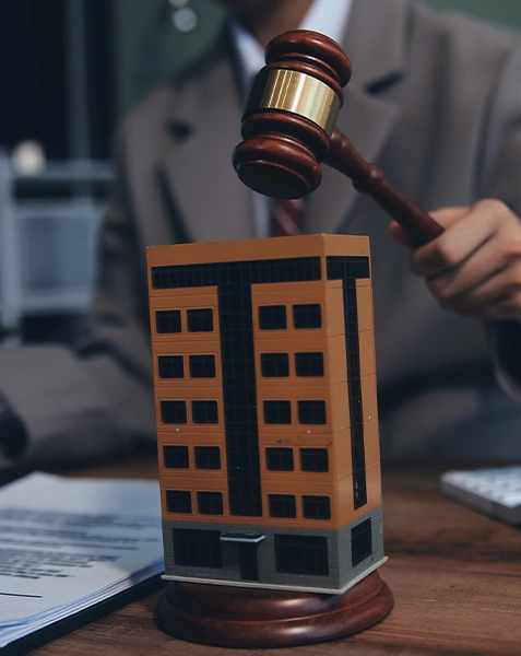 Litigation Image