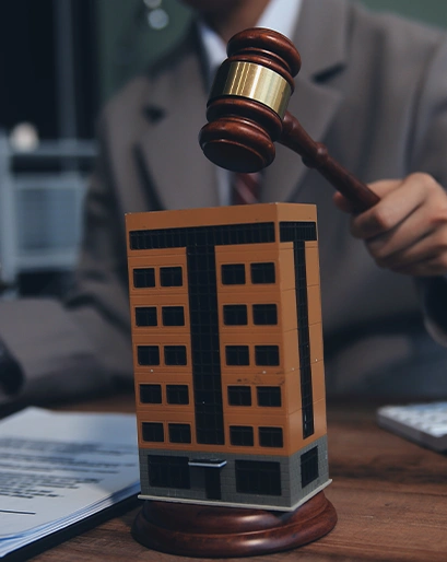 Litigation Image